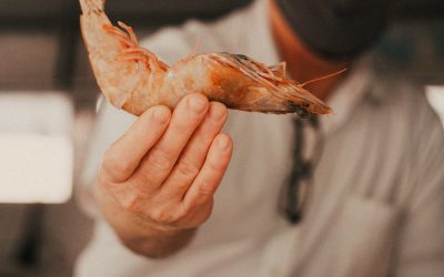 host event updates #3